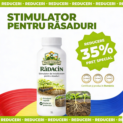 RĂDĂCIN – Prindere rapidă, rădăcini puternice