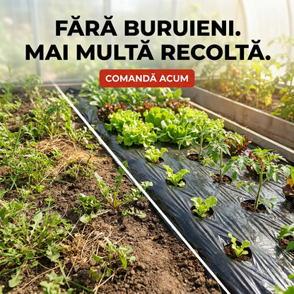 Gata cu buruienile din grădină – Covor Anti-Buruieni 0,95 x 10 m