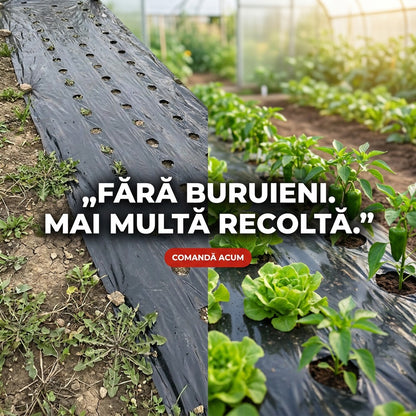 Gata cu buruienile din grădină – Covor Anti-Buruieni 0,95 x 10 m