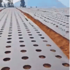 Gata cu buruienile din grădină – Covor Anti-Buruieni 0,95 x 10 m