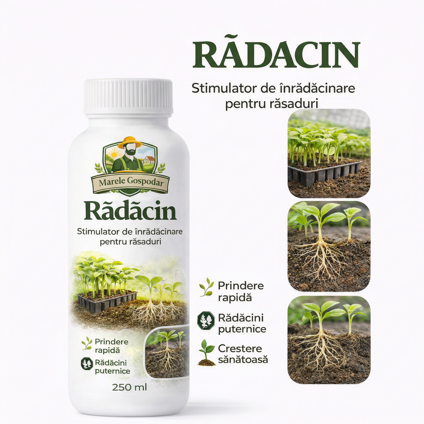 RĂDĂCIN – Prindere rapidă, rădăcini puternice
