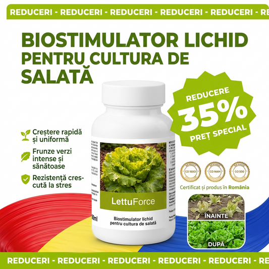 LETTUFORCE – Biostimulator lichid pentru salată viguroasă